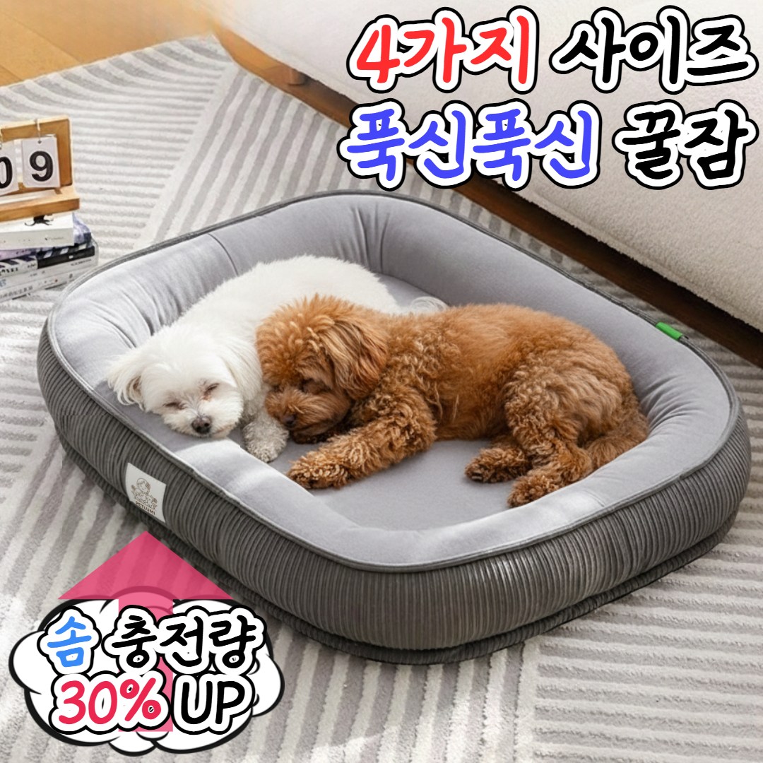 추천 강아지방석 10개 인기 상품 지금 바로 확인하세요!